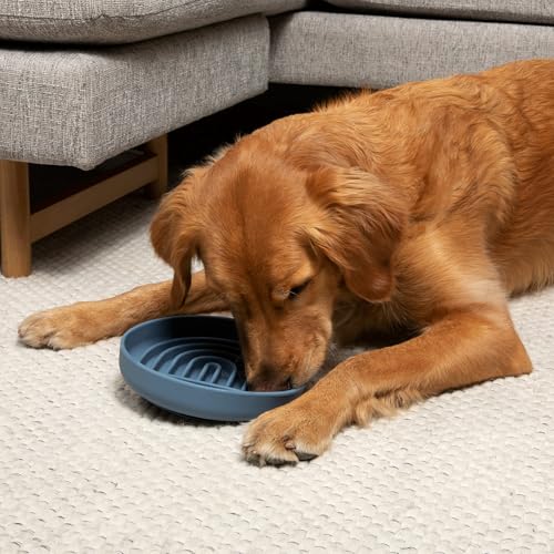 Should We Go? Slow Feeder for Dogs & Puppies, The Slowdown Bowl Silicone Slow Eating, Modern Lick Mat Design, Reduces Gulping, Fits 2.5 Cups, 9.5” Across x 1.5” Tall, Mealtime Challenge, Large-Ocean - color: Ocean - Rainbow Design, size: Large (9.5” Acros