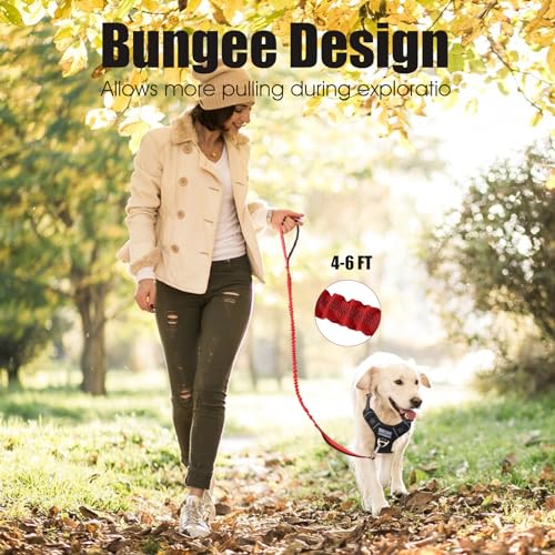 BUMBIN 6Ft Dog Leash Large Dogs, Bungee Dog Leash with 2 Handles, Heavy Duty Dog Leashes for Medium Small Dogs, No Pull Shock Absorbing Dog Leash with Car Seat Belt for Training, Red - color: Red