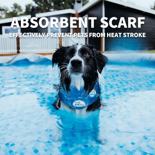 ALL FOR PAWS Dog Cooling Bandana, Cooling Bandanas for Medium Dogs, Dog Cooling Neck Wrap, Cooling Scarf for Dogs, Blue Ice Dog Neck Cooler for Summer (M) - size: Medium