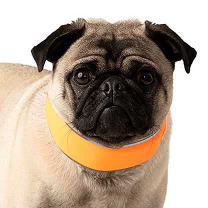 CoolerDog Hi-Vis Cooling Dog Collar for Small Dogs – Reflective Re-Freezable Ice Collar for Hot Weather & Heat Relief (Orange, Small) - size: Small