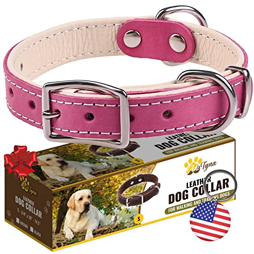 ADITYNA Heavy-Duty Pink Leather Dog Collar for Small Dogs - Soft Padded for Comfort - Girl Dog Collar for Walking, Training, and Hiking - color: Pink, size: Small: Fit 10-14.5" Neck