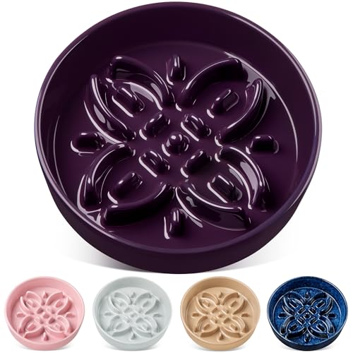 vancasso Ceramic Slow Feeder Dog Bowls, Puzzle Dog Food Bowls with Floral Maze, Anti -Slip Pet Food Dish for Large Breed, 3 Cups, Purple - color: Purple, size: L-3 Cups
