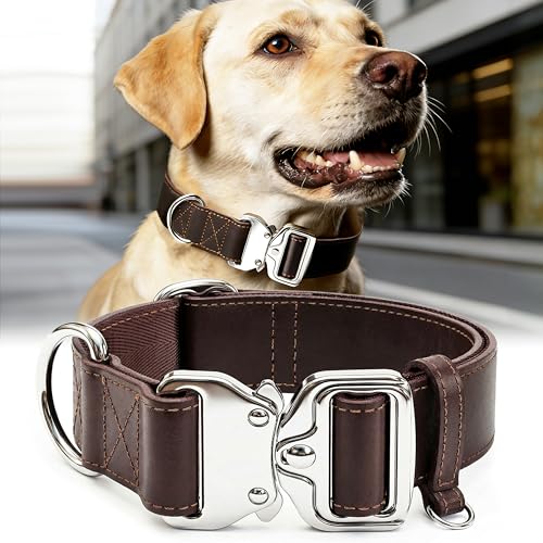 AssuredLock Leather Dog Collar, 1.5” Wide, Smooth Quick-Release Buckle with Adjustable Design, Heavy-Duty Handcrafted Collars for Large Dogs, Brown-M - color: Brown, size: 12.5-20.5 In