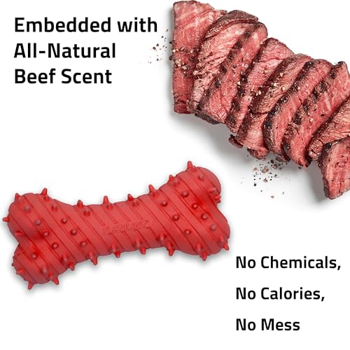 Playology Dog Toys | Teething Bone for Large Puppies and Young Dogs | Beef Scented Jumbo Dog Bone Chew Toy | Teething Puppy Essentials - size: Jumbo, style: Beef