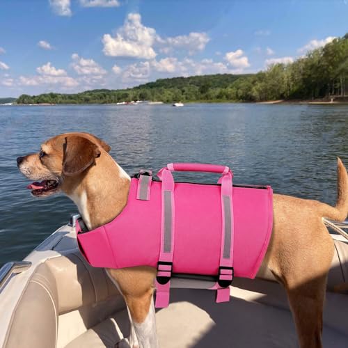 Queenmore Small Dog Life Jacket - Adjustable Reflective Lifesaver Vest with Back Zip, Rescue Handle, Leash Hook (Fuchsia S) - color: Fuchsia, size: Small