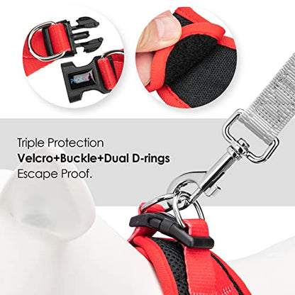 PHOEPET Step-in Dog Harness,Reflective Adjustable Dog Vest Harness, Soft Pet Walking Jacket with 2 Metal Leash Hooks for Dog and Cat(Black Base & Red Straps,L) - color: Black Base & Red Straps, size: L (Neck: 12-13.5”,Chest: 16-18”)