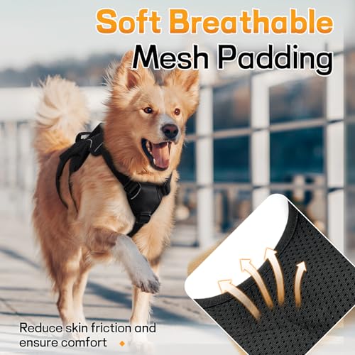 rabbitgoo Escape Proof Dog Harness, Soft Padded Full Body Pet Harness, Reflective Adjustable No Pull Vest with Lift Handle and Leash Clip for Large Dogs Walking Hiking Training, L, Black - color: Black, size: Large (Pack of 1)