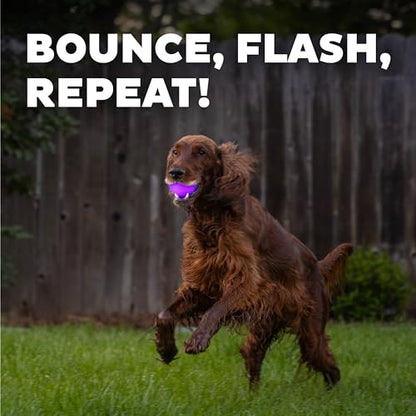 Outward Hound by Planet Dog Strobe Light Up LED Ball Dog Toy, Purple - color: Purple Strobe Toy