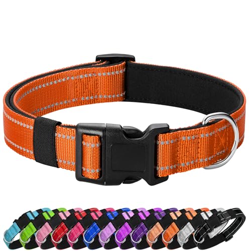 Reflective Dog Collar Padded with Soft Neoprene Breathable Quick Release Basic Dog Collars for Puppy Small Dogs Orange - color: Orange, size: XS:width 5/8"neck 8-10.5"