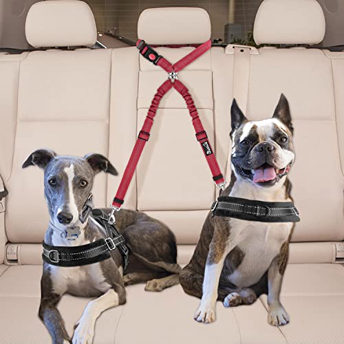 Lukovee Double Dog Seat Belt, New Dual Pet Car Headrest Restraint Safety Seatbelt No Tangle Dog Leash Duty Adjust Elastic Bungee Puppy Lead Splitter Connect Harness in Vehicle Travel for 2 Dogs (Red) - color: Red