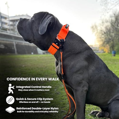 BULLYBREED | Heavy Duty Dog Leash, Tactical Dog Leash, Quick Release Frog Clip with Anti-Tangling Swivel System for Large Dogs that Pull with Soft Double Handles (5 FT Long, Orange) - color: Orange Double Handle