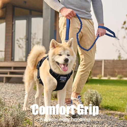 BUMBIN 6Ft Dog Leash - Large Dogs, Bungee Leash with 2 Handles, Heavy Duty, No Pull Shock Absorbing, Deep Blue - color: Deep Blue