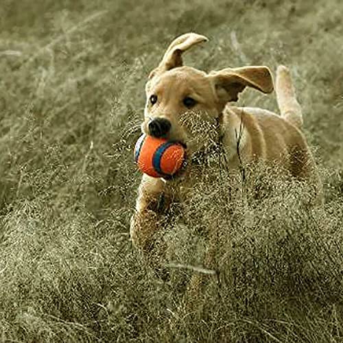 Chuckit! Dog Fetch Toy Ultra Ball Durable Rubber Fits Launcher Small 4 Balls