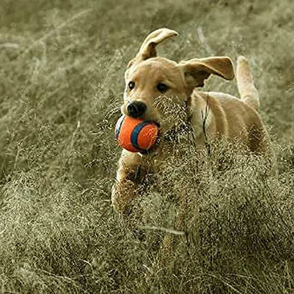 Chuckit! Dog Fetch Toy Ultra Ball Durable Rubber Fits Launcher Small 4 Balls