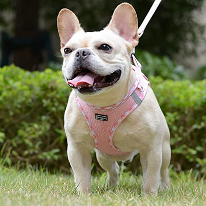 Mercano Soft Mesh Dog Harness and Leash Set, Step-in Reflective Breathable Lightweight Vest Harnesses with Safety Buckle for Small Dogs, Cats (Pink, L) - color: Pink, size: L (Chest: 17.5"-19.5")
