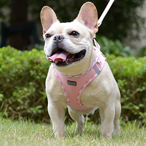 Mercano Soft Mesh Dog Harness and Leash Set, Step-in Reflective Breathable Lightweight Vest Harnesses with Safety Buckle for Small Dogs, Cats (Pink, XS) - color: Pink, size: XS (Chest: 11.2"-13.2")