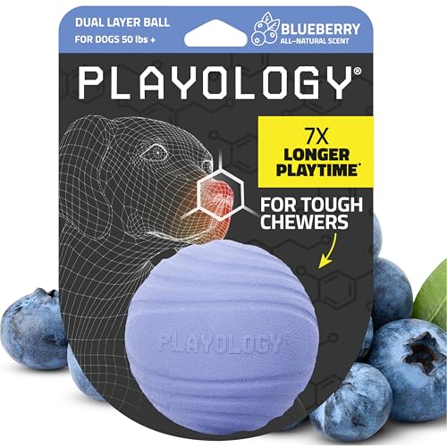 Playology Dog Toys | Dual Layer Ball Durable Chew Toy for Tough Chewers | Blueberry Scented Jumbo Dog Toy | Chew Toys for Large Dogs - size: Jumbo, style: Blueberry