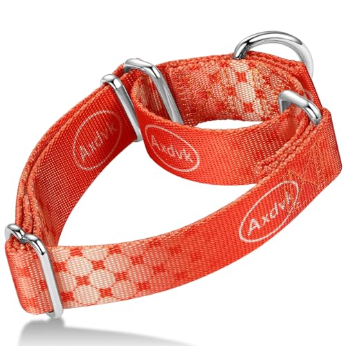 Martingale Dog Collar Colorful Gradient Fashionable - Anti-Escape Soft Durable Pets Collar for Walking Training Outdoor Daily Use -Small,Aurora Fire - color: Aurora Fire, size: Small+: 11" -15.5"