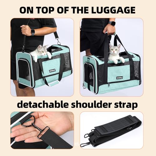 Cat Carrier Soft-Sided Travel Bag for Medium to Large Cats Over 15lbs, Small Dog Carrier Crate Top Entry Breathable Mesh Puppy 12 Pounds, Pet Rabbit Carrying Cage Kennel Collapsible Teal - color: Teal
