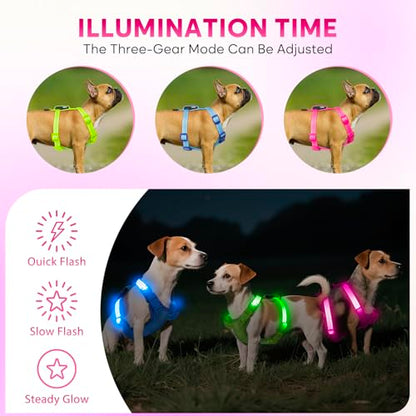 Light Up Small Dog Harness, LED Rechargeable Harness for Small Sized Dog, No Pull Reflective Adjustable Dog Vest Harness with Soft Light, Glow-in-The-Dark for Night Safety Walking (Pink)