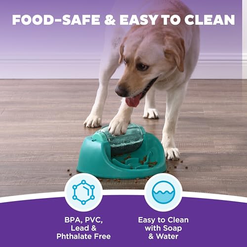 Outward Hound by Nina Ottosson Spin N' Eat Dog Puzzle and Slow Feeder, Level 2 Intermediate Enrichment Toy, Green - color: Spin N' Eat (Green)