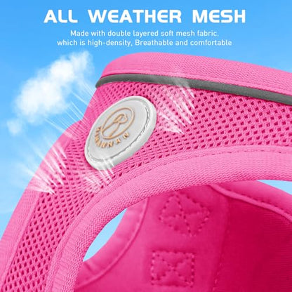 Soft Mesh Dog Harness and Leash Set, No Pull Puppy Harness and Leash Set, Reflective Step in Harness for Small Medium Dogs, Easy Walk Escape Proof Vest Harnesses (Rose Red, XS) - color: Rose Red, size: XS