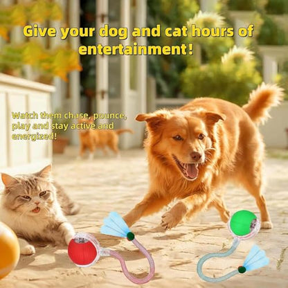 2 PCS Interactive Cat Toy Rolling Ball with Tail Chewie Viral Dog Ball, Smart Automatic Rolling Pet Balls,Automatic Moving Electric Cat Toy - color: Color2