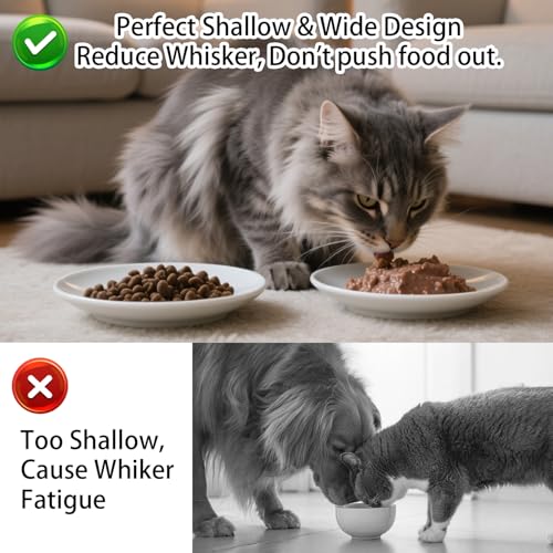 Cat Food Bowl Set of 6, Ceramic Cat Bowls, Anti Whisker Fatigue Cats Bowl Set,5.9 Inches Shallow Wide Kitten Plates for Wet/Dry Food, Indoor Pets (Fish Bone) - color: Fish Bone