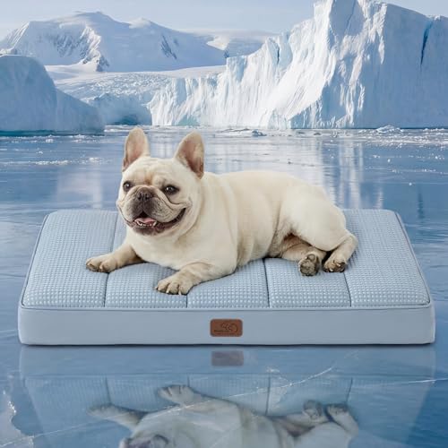 Bedsure Orthopedic Cooling Dog Bed for Medium Dogs - 30x20 Inches Comfy Breathable Puppy Beds with Removable Washable Cover, Cold Flat Egg Crate Foam Pet Mat, Suitable for Pet Up to 30 lbs - color: Cooling Blue, size: 30"L x 20"W x 3"Th