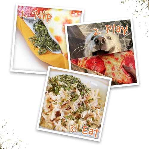 Doggijuana Refillable Juananip Toy Bundle | Pizza Bundle | Funny Dog Toy Plush with Catnip and Refill | Calming Aid for Dogs | Interactive Chew Toy for Play - style: Pizza