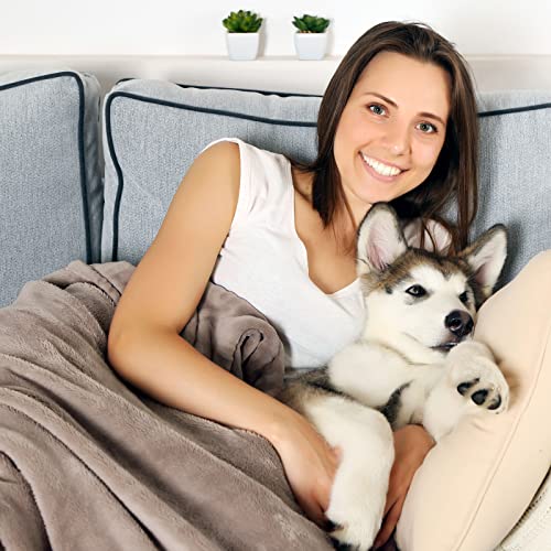 PETMAKER Pet Blanket - Reversible Waterproof Plaid Throw Protects Couch, Car, and Bed from Spills, Stains, or Fur - Dog and Cat Blankets (Gray), Large - color: Gray Plaid, size: Small