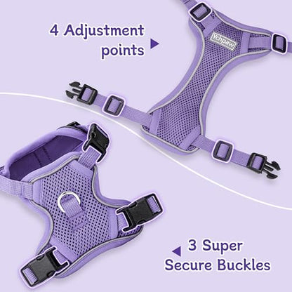 Small Dog Harness and Leash Set, Reflective Soft Breathable Mesh Vest, 3 Buckles, Adjustable Neck and Chest,Step in Dog Harness for Walking, Running, Training, Purple, M - color: Purple, size: Medium