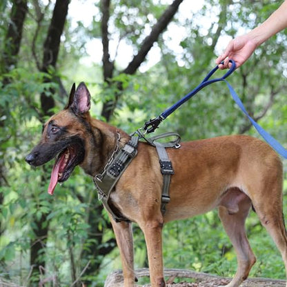 ICEFANG Relfective Dog Leash for Medium Large Dogs,K9 Training Walking Lead with Double Handle,Heavy Duty Auto-Lock Metal Clasp (6ft, Blue) - color: Blue, size: 6 ft (No bungee)