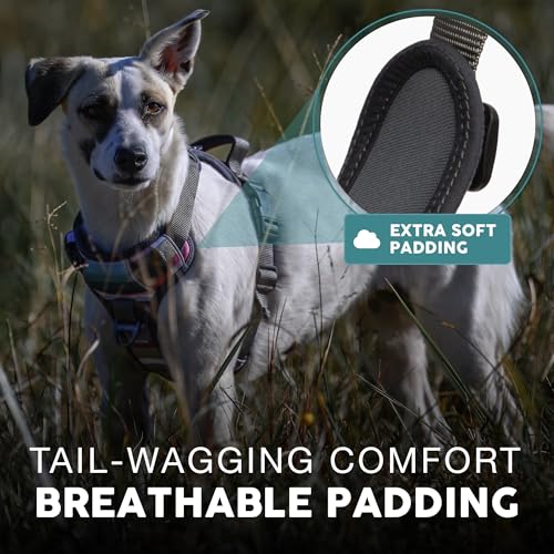 Embark Adventure Small Dog Harness – No-Pull, Reflective Trim, Military-Grade Nylon, Front Clip with Gel-Lined Handle, Soft & Padded - color: Baja, size: S