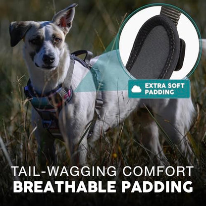 Embark Adventure Small Dog Harness – No-Pull, Reflective Trim, Military-Grade Nylon, Front Clip with Gel-Lined Handle, Soft & Padded - color: Baja, size: S