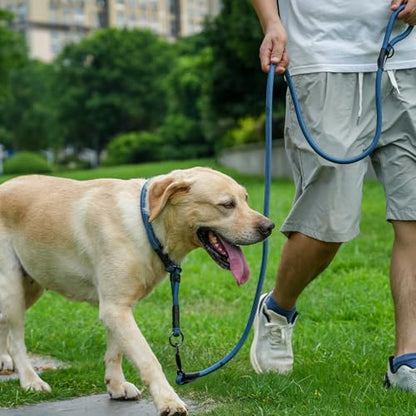 Rope Dog Leash, 4 ft Heavy Duty Dog Leash with Aviation Aluminum Auto Locking Carabiner, Strong Nylon Pet Lead for Small, Medium, Large Dogs (Green, 4FT) - color: Green, size: 4 Foot Single Handle