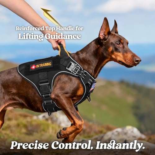 rabbitgoo Tactical Dog Harness Medium Sized, No Pull Upgraded Reflective Heavy Duty Molle Vest with Handle, Adjustable Military Service Dog Vest for Walking Hiking Training, Black, M - color: Black Reflective, size: Medium