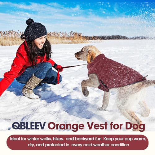 QBLEEV Reversible Dog Coat for Medium Dogs, Waterproof Windproof Winter Jacket Keeps Dogs Warm in Snow, Adjustable Hook & Loop Lightweight Dog Puffer Vest, Wine Red, L – Fits French Bulldog - color: Date-Red, size: Large
