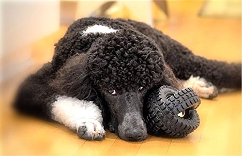 Pet Qwerks X-Tire Ball Dog Toys - Jingle Interactive Chew Toy - Medium - size: Medium, style: Jingle
