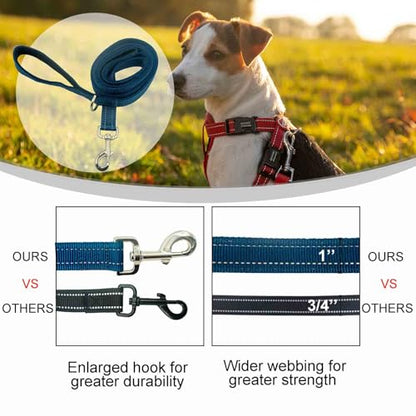 Dual Padded Handle Walking and Training Standard Leashes for Large Dogs with Reflective Stitching, 360° Rotatable Heavy Duty Metal Buckle, D-Ring, Durable Nylon, 6Ft Long 1" Wide - color: Blue, size: 6Ft