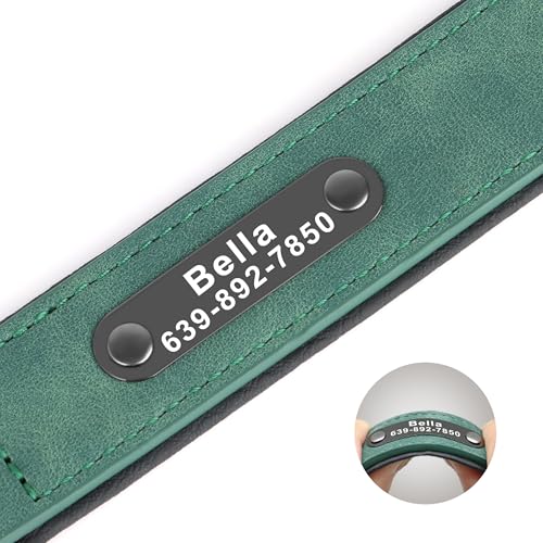 Didog Custom PU Leather Dog Collars with Personalized Engraving Nameplate,Personalized Padded Dog Collars Engraved for Small Medium Dogs,Green,M Size - color: Green, size: M: Fit 11-14"Neck
