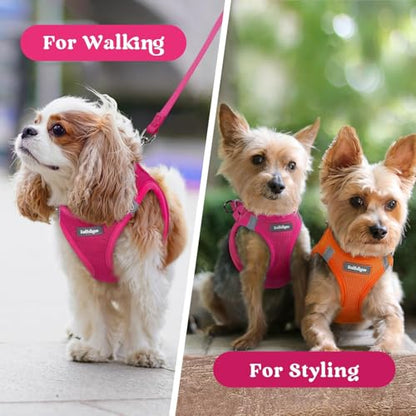 rabbitgoo Small Dog Harness, Step-in Soft Mesh Puppy Vest with Safety Buckle, Breathable Reflective Pet Harness for Extra Small Dogs, Rose Red XXXS - color: Rose Red, size: Xxxs(chest:10.8"-11.8")