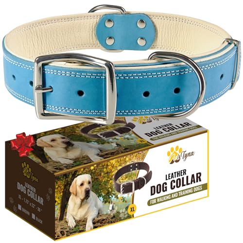 ADITYNA Heavy-Duty Blue Leather Dog Collar for Extra-Large Dogs - Soft Padded for Comfort - XL Dog Collar for Walking, Training, and Hiking - color: Blue, size: Extra-Large: Fit 22-30" Neck