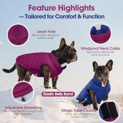 QBLEEV Reversible Dog Coat for Medium Dogs, Waterproof Windproof Winter Jacket Keeps Dogs Warm in Snow, Adjustable Hook & Loop Lightweight Dog Puffer Vest, Purple, L – Fits French Bulldog - color: Violet-Blue, size: Large