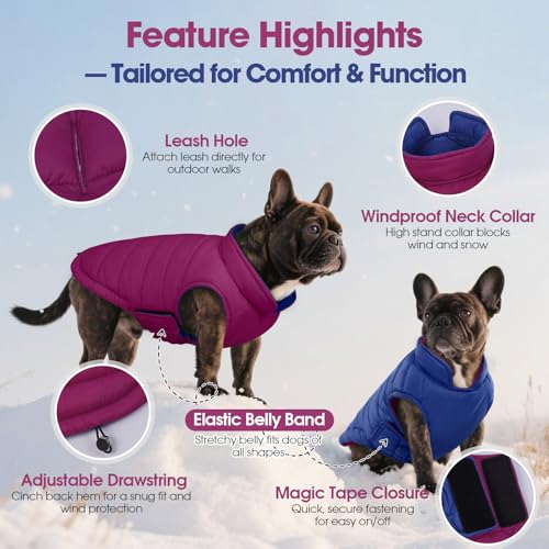 QBLEEV Reversible Dog Jacket for Large Dogs, Waterproof Windproof Winter Coat with Adjustable Hook & Loop Design, Lightweight Puffer Vest Keeps Dogs Warm & Dry, Purple, XL – Fits Pitbull, Boxer - color: Violet-Blue, size: X-Large