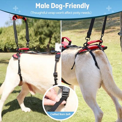 Dog Lift Harness for Extra Large Dogs, Heavy Dog Lifting Support Harness with Dual Handles, Strong Mobility Aid for Arthritis & Injury Recovery, Red, XL - size: X-Large
