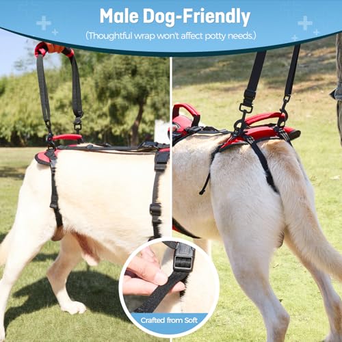 Dog Lift Harness for Large Dogs, Full-Body Support Dog Harness for Stairs & Hind Leg Weakness, Senior Dog Walking Assist, Male Dog-Friendly & Comfortable, Red, L - size: Large