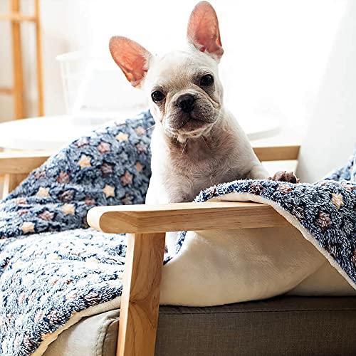 FJWYSANGU Pet Blanket Premium Fluffy Flannel Cushion Soft and Warm Mat for Dogs Cats(Star/Yellow,Small) - color: Star/Yellow, size: Small