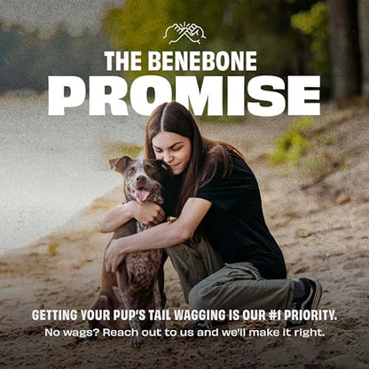Benebone Natural Rubber Dog Chew Toy, Dog Bone, Limited Edition America 250, Medium - size: 1 Pack, style: America 250 - Bone