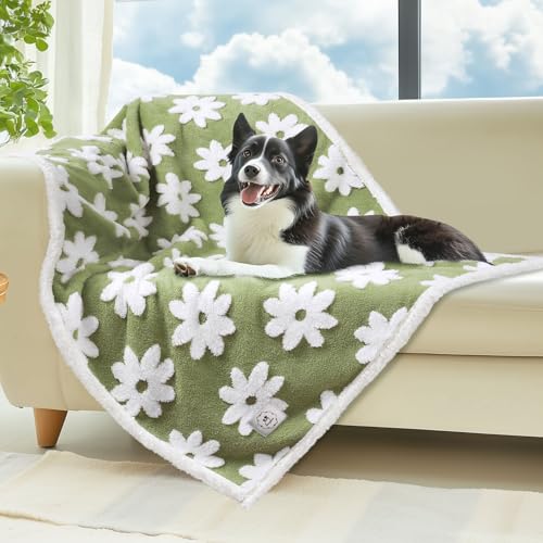 Luciphia Waterproof Pet Blanket for Medium Large Dogs Washable Fluffy Thick Jacquard Shag Fleece Warm Sherpa 3D Textured Flower Print for Cats Puppy Couch Protection (Green,57x40 inches) - color: Green, size: 57x40 inches